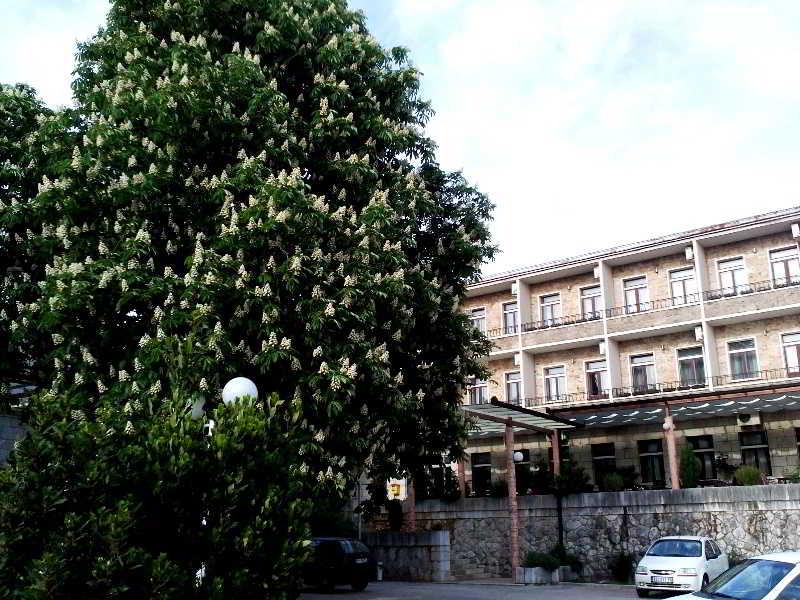 Hotel Leotar Trebinje